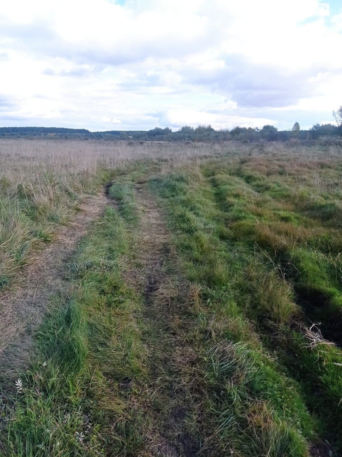 Оренда землі сільськогосподарського призначення в Заставному, ціна: 30 798 грн за об’єкт фото 1 Оренда землі сільськогосподарського призначення в Заставному, ціна: 30 798 грн за об’єкт фото 1