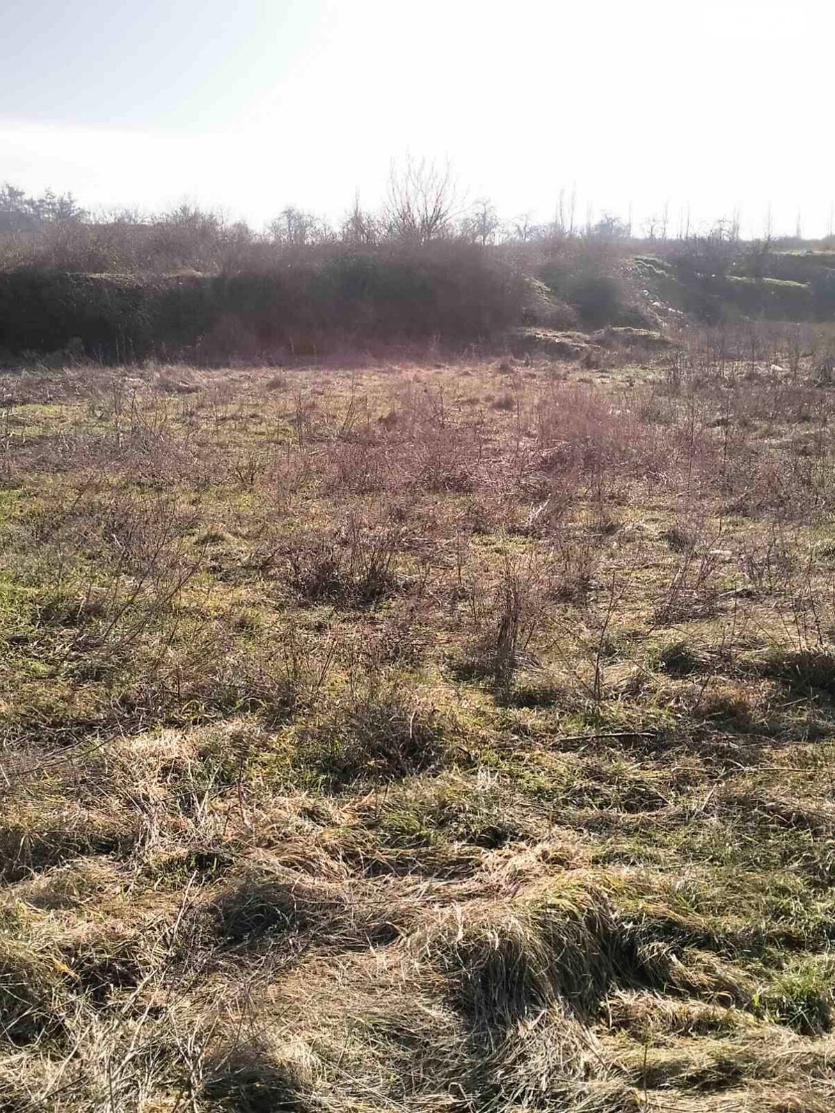 Оренда землі сільськогосподарського призначення в Звенигородці, ціна: 790 грн за об’єкт фото 1 Оренда землі сільськогосподарського призначення в Звенигородці, ціна: 790 грн за об’єкт фото 1