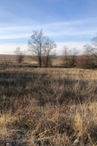 Оренда землі сільськогосподарського призначення в Звенигородці, ціна: 727 грн за об’єкт фото 1 Оренда землі сільськогосподарського призначення в Звенигородці, ціна: 727 грн за об’єкт фото 1