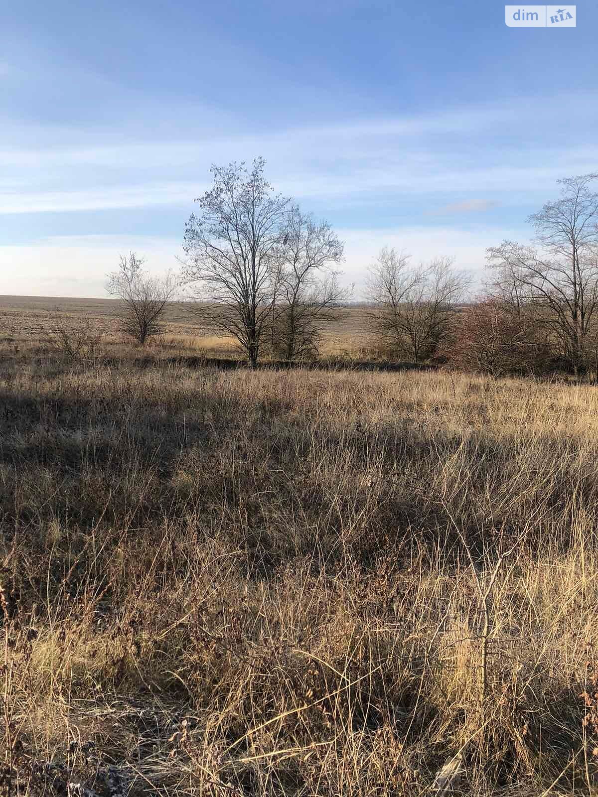 Оренда землі сільськогосподарського призначення в Звенигородці, ціна: 727 грн за об’єкт фото 1 Оренда землі сільськогосподарського призначення в Звенигородці, ціна: 727 грн за об’єкт фото 1