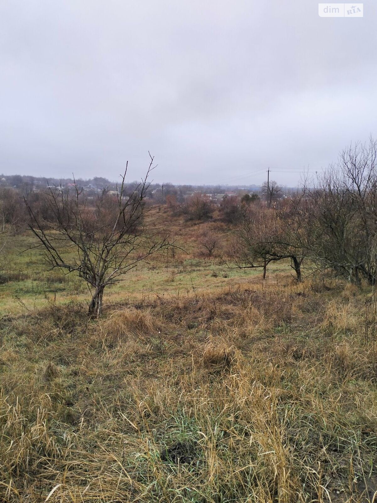 Оренда землі сільськогосподарського призначення в Звенигородці, ціна: 17 824 грн за об’єкт фото 1 Оренда землі сільськогосподарського призначення в Звенигородці, ціна: 17 824 грн за об’єкт фото 1