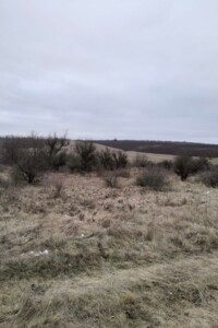 Оренда землі сільськогосподарського призначення в Звенигородці, ціна: 1 228 грн за об’єкт фото 2 Оренда землі сільськогосподарського призначення в Звенигородці, ціна: 1 228 грн за об’єкт фото 2