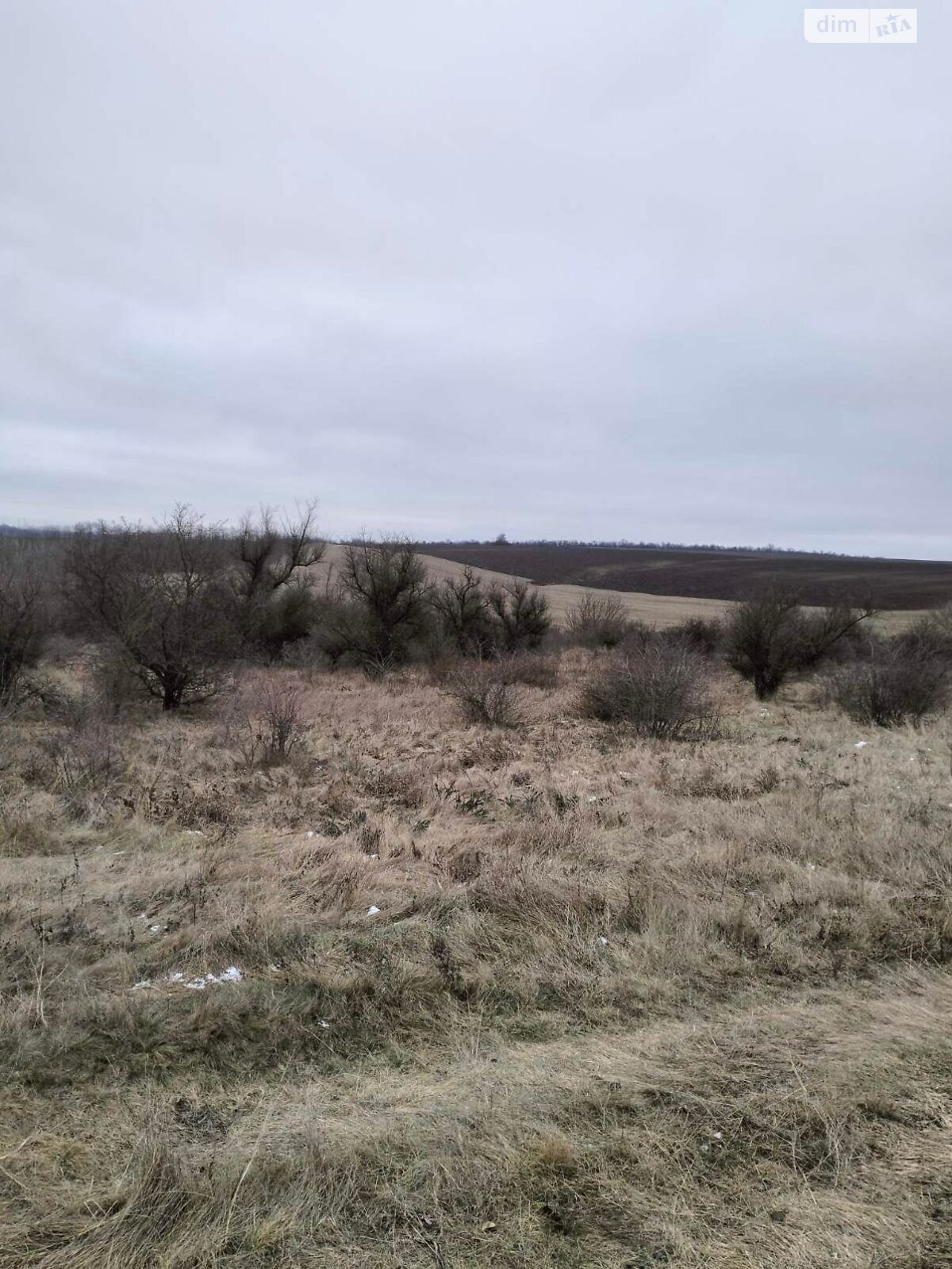 Оренда землі сільськогосподарського призначення в Звенигородці, ціна: 1 228 грн за об’єкт фото 1 Оренда землі сільськогосподарського призначення в Звенигородці, ціна: 1 228 грн за об’єкт фото 1