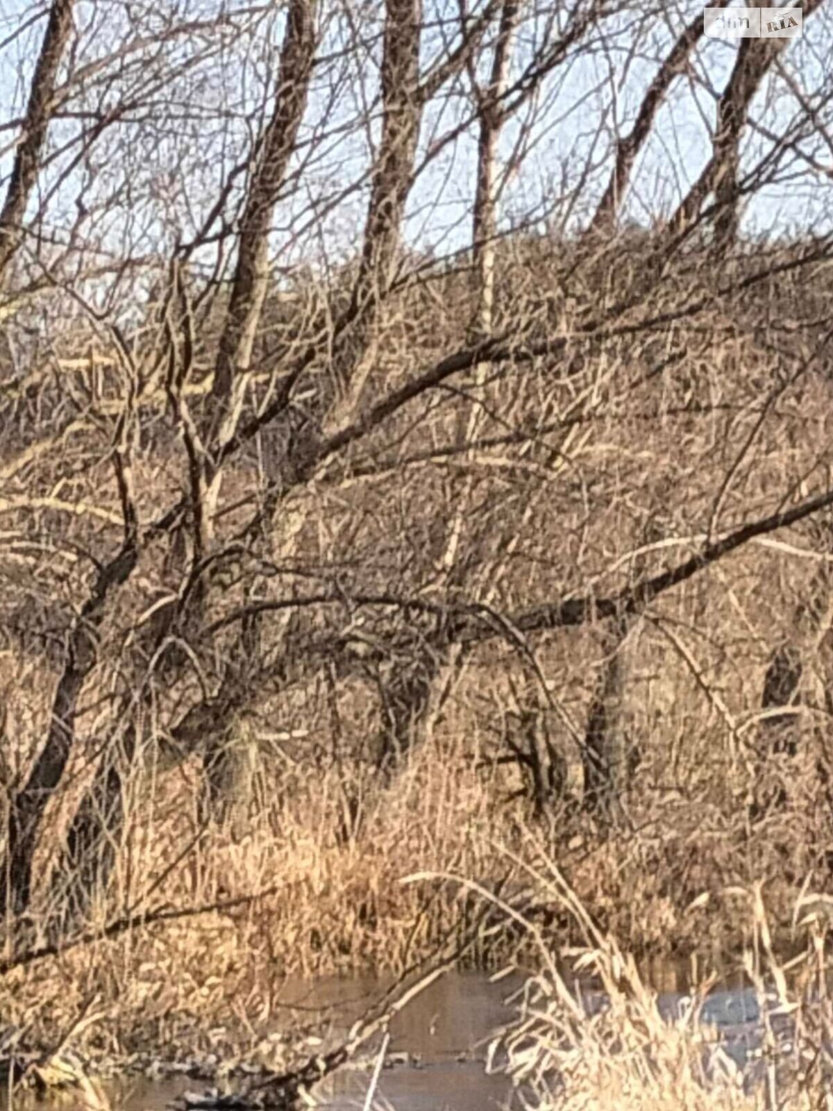 Оренда землі сільськогосподарського призначення в Звенигородці, ціна: 1 367 грн за об’єкт фото 1 Оренда землі сільськогосподарського призначення в Звенигородці, ціна: 1 367 грн за об’єкт фото 1