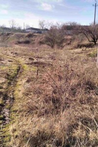 Оренда землі сільськогосподарського призначення в Звенигородці, ціна: 790 грн за об’єкт фото 2 Оренда землі сільськогосподарського призначення в Звенигородці, ціна: 790 грн за об’єкт фото 2