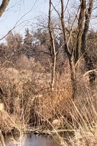 Оренда землі сільськогосподарського призначення в Звенигородці, ціна: 1 367 грн за об’єкт фото 2 Оренда землі сільськогосподарського призначення в Звенигородці, ціна: 1 367 грн за об’єкт фото 2