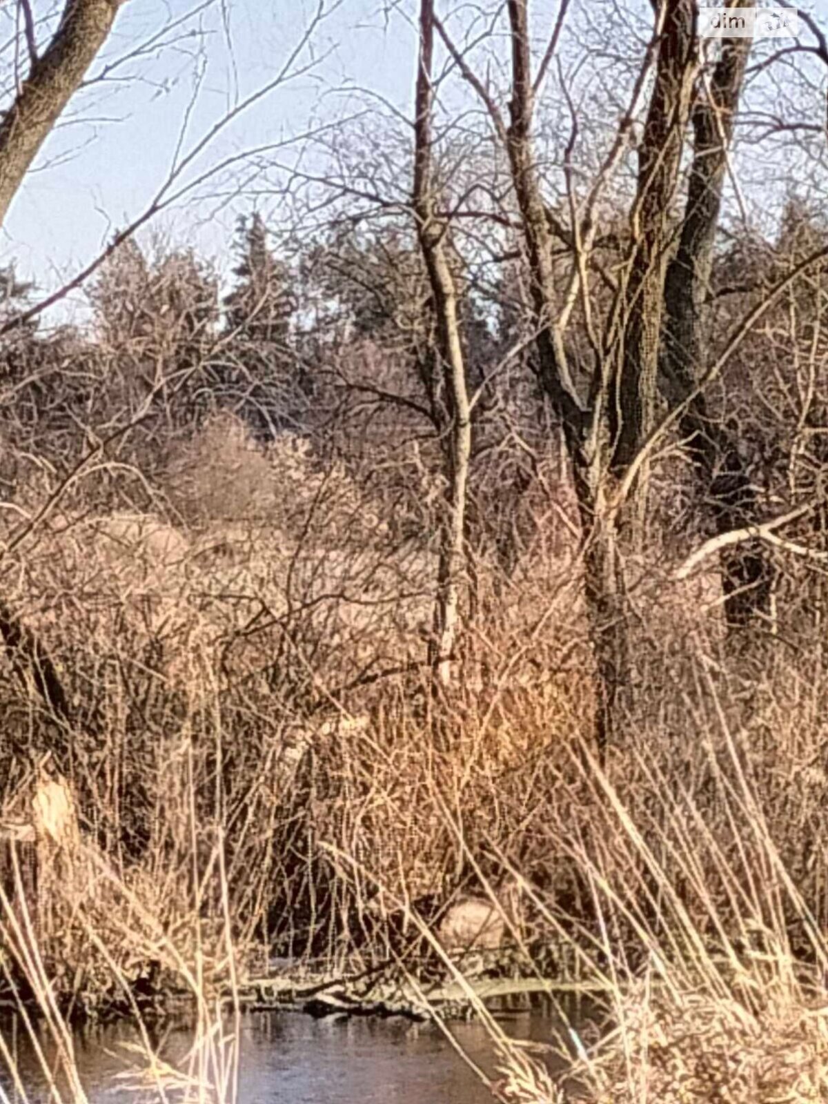 Оренда землі сільськогосподарського призначення в Звенигородці, ціна: 1 367 грн за об’єкт фото 1 Оренда землі сільськогосподарського призначення в Звенигородці, ціна: 1 367 грн за об’єкт фото 1