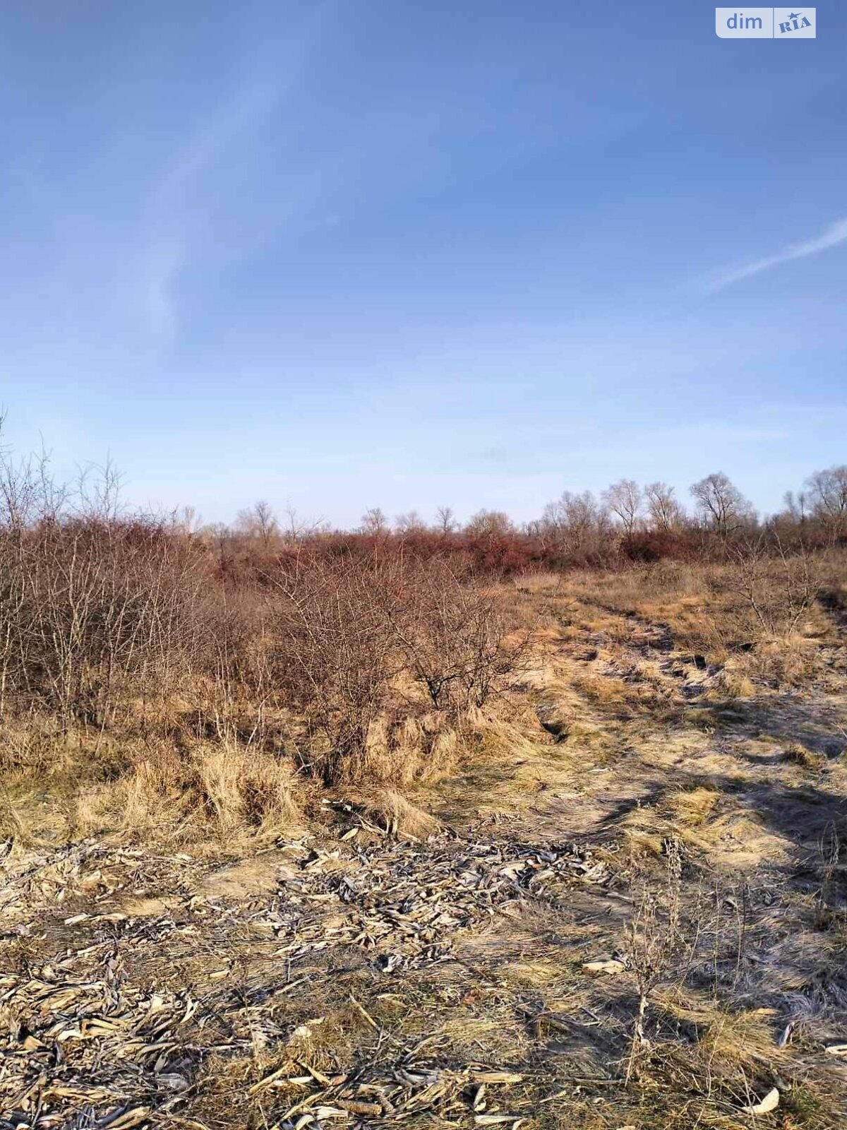 Оренда землі сільськогосподарського призначення в Звенигородці, ціна: 1 367 грн за об’єкт фото 1 Оренда землі сільськогосподарського призначення в Звенигородці, ціна: 1 367 грн за об’єкт фото 1