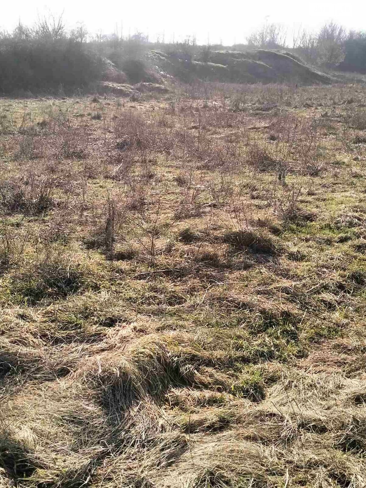Оренда землі сільськогосподарського призначення в Звенигородці, ціна: 790 грн за об’єкт фото 1 Оренда землі сільськогосподарського призначення в Звенигородці, ціна: 790 грн за об’єкт фото 1