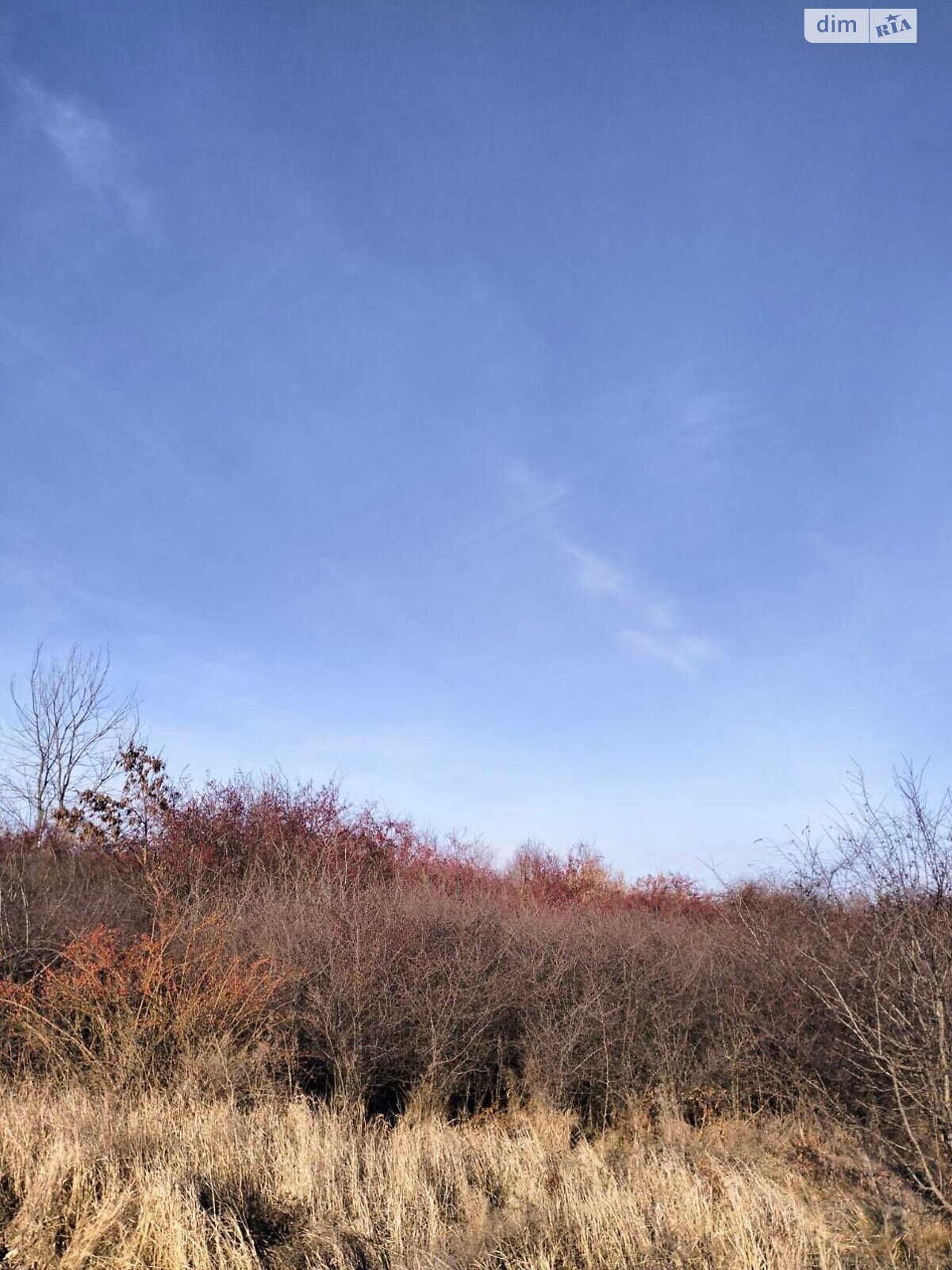 Оренда землі сільськогосподарського призначення в Звенигородці, ціна: 1 367 грн за об’єкт фото 1 Оренда землі сільськогосподарського призначення в Звенигородці, ціна: 1 367 грн за об’єкт фото 1