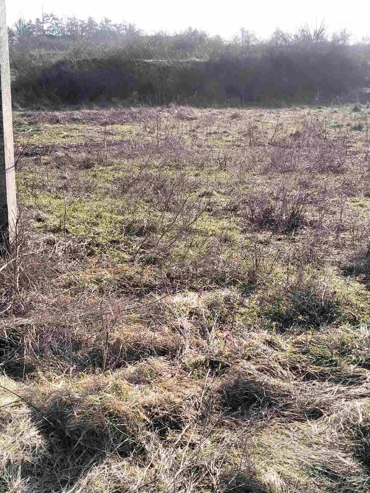 Оренда землі сільськогосподарського призначення в Звенигородці, ціна: 790 грн за об’єкт фото 1 Оренда землі сільськогосподарського призначення в Звенигородці, ціна: 790 грн за об’єкт фото 1