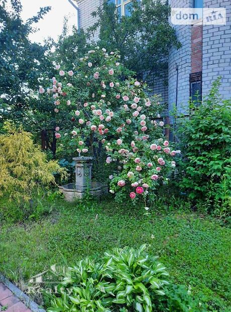 двухэтажный дом с камином, 241 кв. м, кирпич. Продажа в Владимировском (Запорожская обл.) фото 1 двухэтажный дом с камином, 241 кв. м, кирпич. Продажа в Владимировском (Запорожская обл.) фото 1
