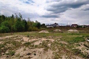 Земельный участок под жилую застройку в Тетеревке, площадь 80 соток фото 2