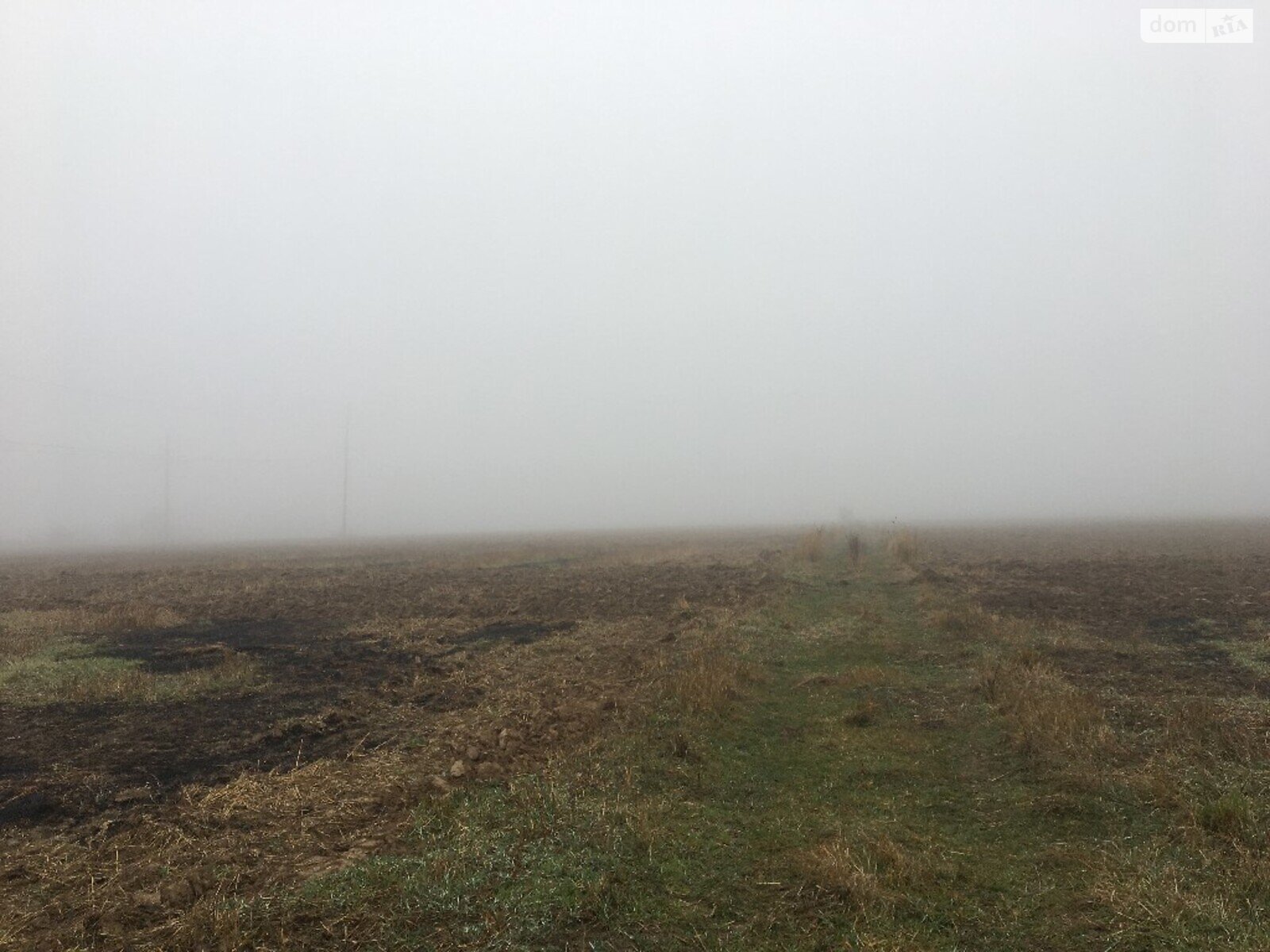 Земельный участок под жилую застройку в Луке-Мелешковской, площадь 40 соток фото 1