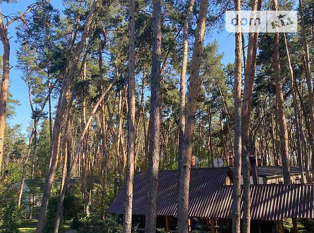 База отдыха, пансионат в Днепре, продажа по, в селе Обуховка, цена: договорная за объект фото 1 База отдыха, пансионат в Днепре, продажа по, в селе Обуховка, цена: договорная за объект фото 1