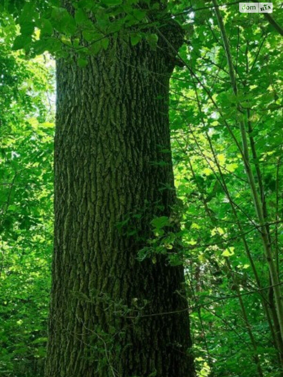 Спеціальне приміщення в Гнівані, продаж по Селище село, район Гнівань, ціна: 260 000 долларів за об’єкт фото 1