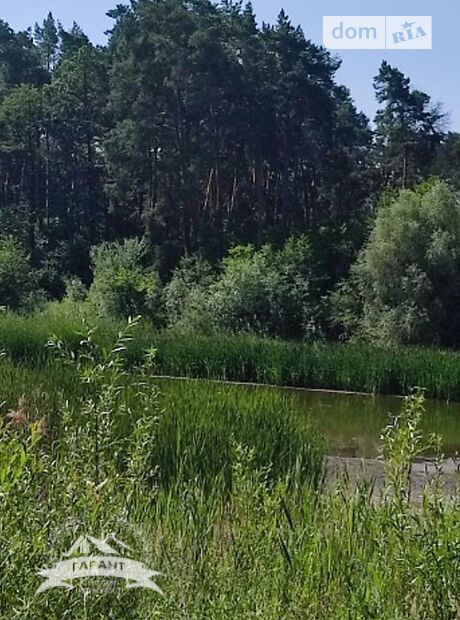 Специальное помещение в Гнивани, продажа по Селище, район Гнивань, цена: 350 000 долларов за объект фото 1 Специальное помещение в Гнивани, продажа по Селище, район Гнивань, цена: 350 000 долларов за объект фото 1