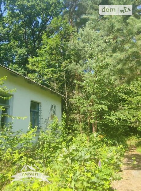 Специальное помещение в Гнивани, продажа по Селище, район Гнивань, цена: 350 000 долларов за объект фото 1 Специальное помещение в Гнивани, продажа по Селище, район Гнивань, цена: 350 000 долларов за объект фото 1