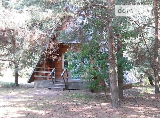 База отдыха, пансионат в Каменском, продажа по Центральная, район Левый берег, цена: 100 000 долларов за объект фото 1 База отдыха, пансионат в Каменском, продажа по Центральная, район Левый берег, цена: 100 000 долларов за объект фото 1