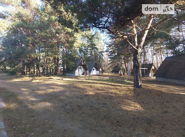 База отдыха, пансионат в Каменском, продажа по Зелная, район Левый берег, цена: 100 000 долларов за объект фото 1 База отдыха, пансионат в Каменском, продажа по Зелная, район Левый берег, цена: 100 000 долларов за объект фото 1