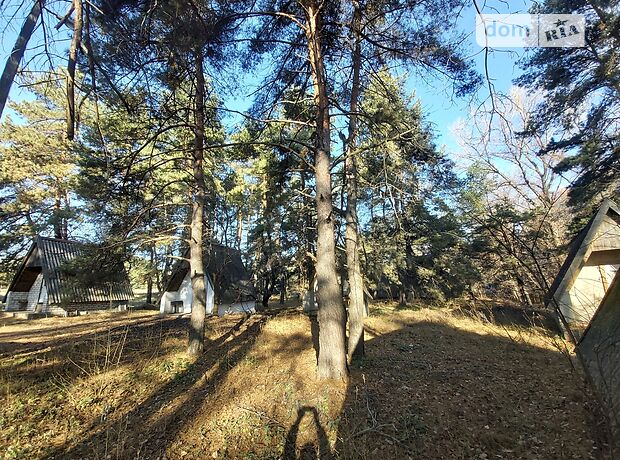 База отдыха, пансионат в Каменском, продажа по Зелная, район Левый берег, цена: 100 000 долларов за объект фото 1 База отдыха, пансионат в Каменском, продажа по Зелная, район Левый берег, цена: 100 000 долларов за объект фото 1