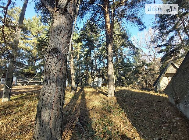 База отдыха, пансионат в Каменском, продажа по Зелная, район Левый берег, цена: 100 000 долларов за объект фото 1 База отдыха, пансионат в Каменском, продажа по Зелная, район Левый берег, цена: 100 000 долларов за объект фото 1