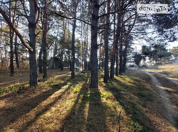 База отдыха, пансионат в Каменском, продажа по Зелная, район Левый берег, цена: 100 000 долларов за объект фото 1 База отдыха, пансионат в Каменском, продажа по Зелная, район Левый берег, цена: 100 000 долларов за объект фото 1