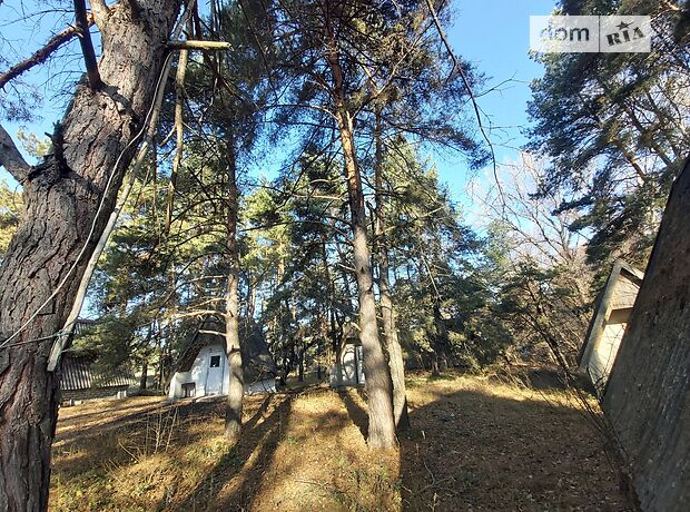 База отдыха, пансионат в Каменском, продажа по Зелная, район Левый берег, цена: 100 000 долларов за объект фото 1 База отдыха, пансионат в Каменском, продажа по Зелная, район Левый берег, цена: 100 000 долларов за объект фото 1