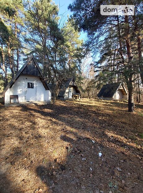База отдыха, пансионат в Каменском, продажа по Зелная, район Левый берег, цена: 100 000 долларов за объект фото 1 База отдыха, пансионат в Каменском, продажа по Зелная, район Левый берег, цена: 100 000 долларов за объект фото 1