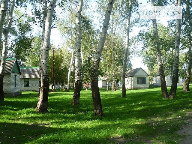 База отдыха, пансионат в Кременчуге, продажа по с. Кузьменки, район Кременчуг, цена: 205 000 долларов за объект фото 1 База отдыха, пансионат в Кременчуге, продажа по с. Кузьменки, район Кременчуг, цена: 205 000 долларов за объект фото 1