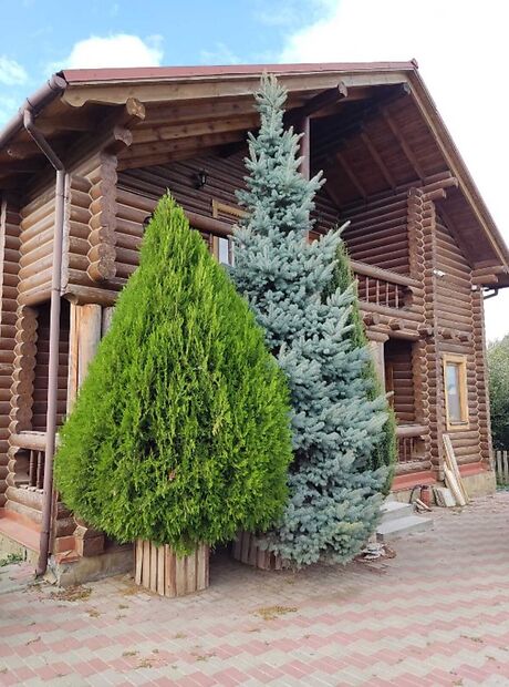 Специальное помещение в Виннице, продажа по Адама Мицкевича улица, район Старый город, цена: 130 000 долларов за объект фото 1 Специальное помещение в Виннице, продажа по Адама Мицкевича улица, район Старый город, цена: 130 000 долларов за объект фото 1
