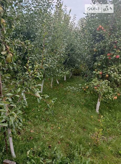 Специальное помещение в Виннице, продажа по Адама Мицкевича улица, район Старый город, цена: 130 000 долларов за объект фото 1 Специальное помещение в Виннице, продажа по Адама Мицкевича улица, район Старый город, цена: 130 000 долларов за объект фото 1