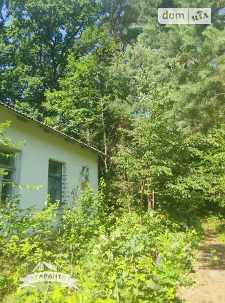 Специальное помещение в Бохониках, Замковая улица, цена продажи: 349 999 долларов за объект фото 1 Специальное помещение в Бохониках, Замковая улица, цена продажи: 349 999 долларов за объект фото 1