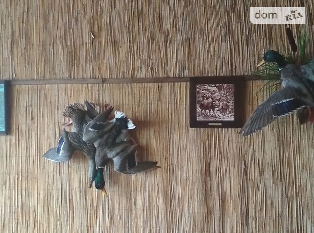 Место в гаражном кооперативе под катер / яхту в Запорожье, площадь 64 кв.м. фото 1 Место в гаражном кооперативе под катер / яхту в Запорожье, площадь 64 кв.м. фото 1