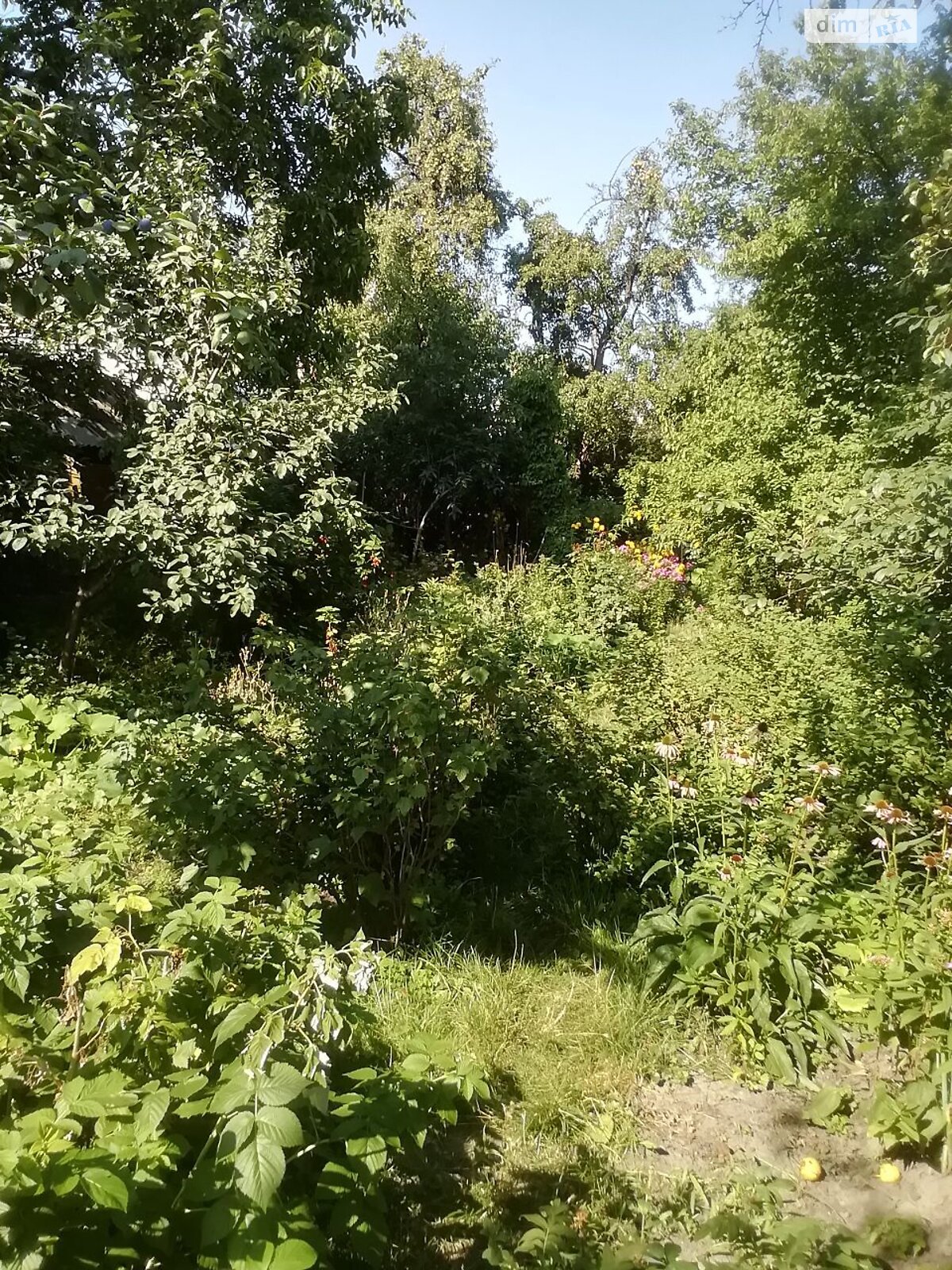 Продаж частини будинку в Білій Церкві, вулиця Левка Симиренка (Мічурина), район Центр, 3 кімнати фото 1 Продаж частини будинку в Білій Церкві, вулиця Левка Симиренка (Мічурина), район Центр, 3 кімнати фото 1