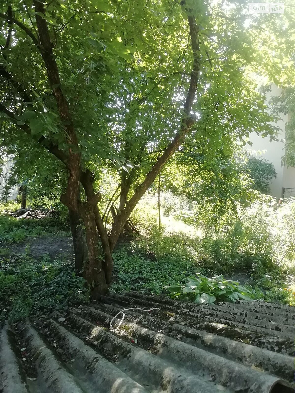 Продаж частини будинку в Білій Церкві, вулиця Левка Симиренка (Мічурина), район Центр, 3 кімнати фото 1 Продаж частини будинку в Білій Церкві, вулиця Левка Симиренка (Мічурина), район Центр, 3 кімнати фото 1