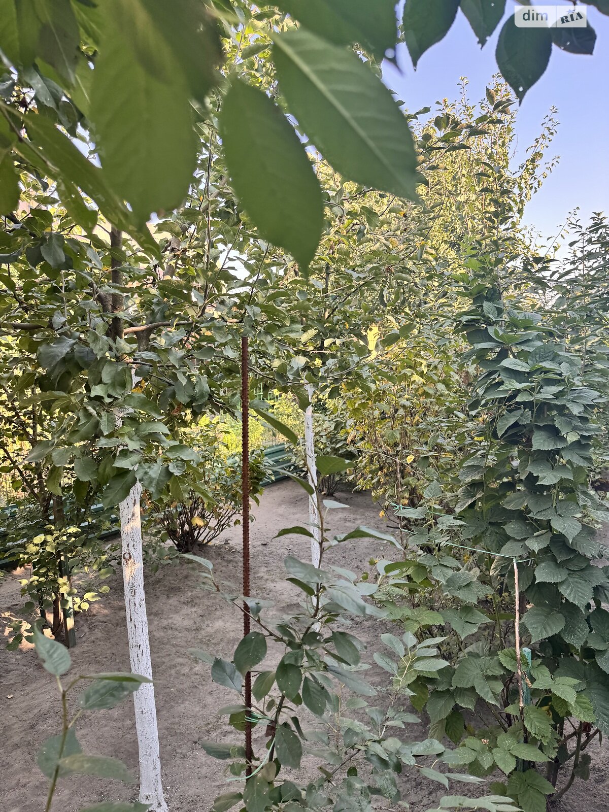 Продаж частини будинку в Білій Церкві, вулиця Степана Бандери (Чапаєва), район Заріччя, 3 кімнати фото 1