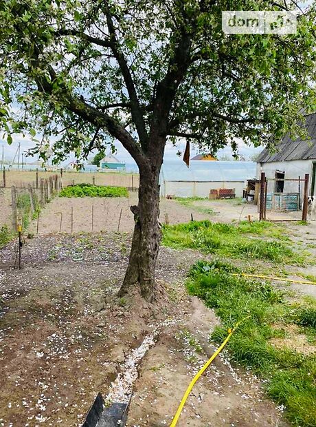 Продаж частини будинку в селі Красилівка, вулиця Чехова 31, 4 кімнати фото 1 Продаж частини будинку в селі Красилівка, вулиця Чехова 31, 4 кімнати фото 1