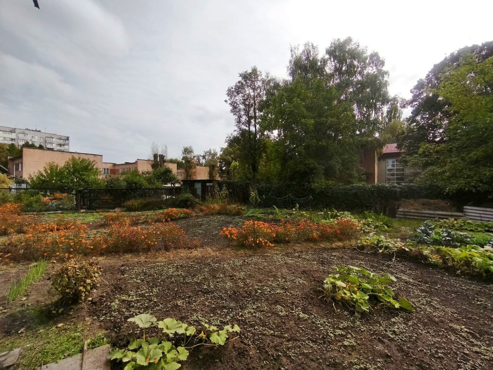 Продажа части дома в Чернигове, улица Народного движения (Циолковского) 8/1, 2 комнаты фото 1