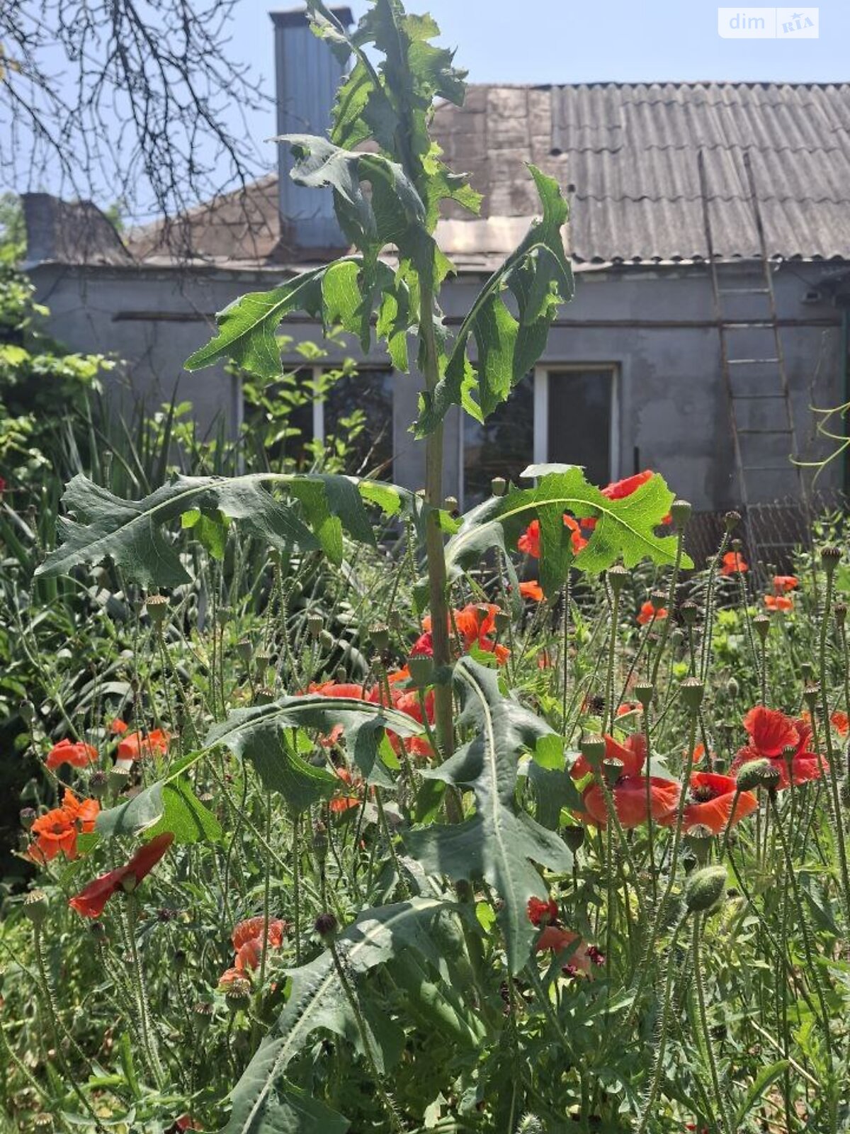 Продажа части дома в Днепре, район Кайдаки, 3 комнаты фото 1 Продажа части дома в Днепре, район Кайдаки, 3 комнаты фото 1