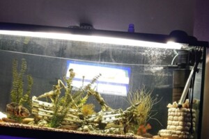 Продажа части дома в Житомире, улица Домбровского 42, район Богунский, 2 комнаты фото 2