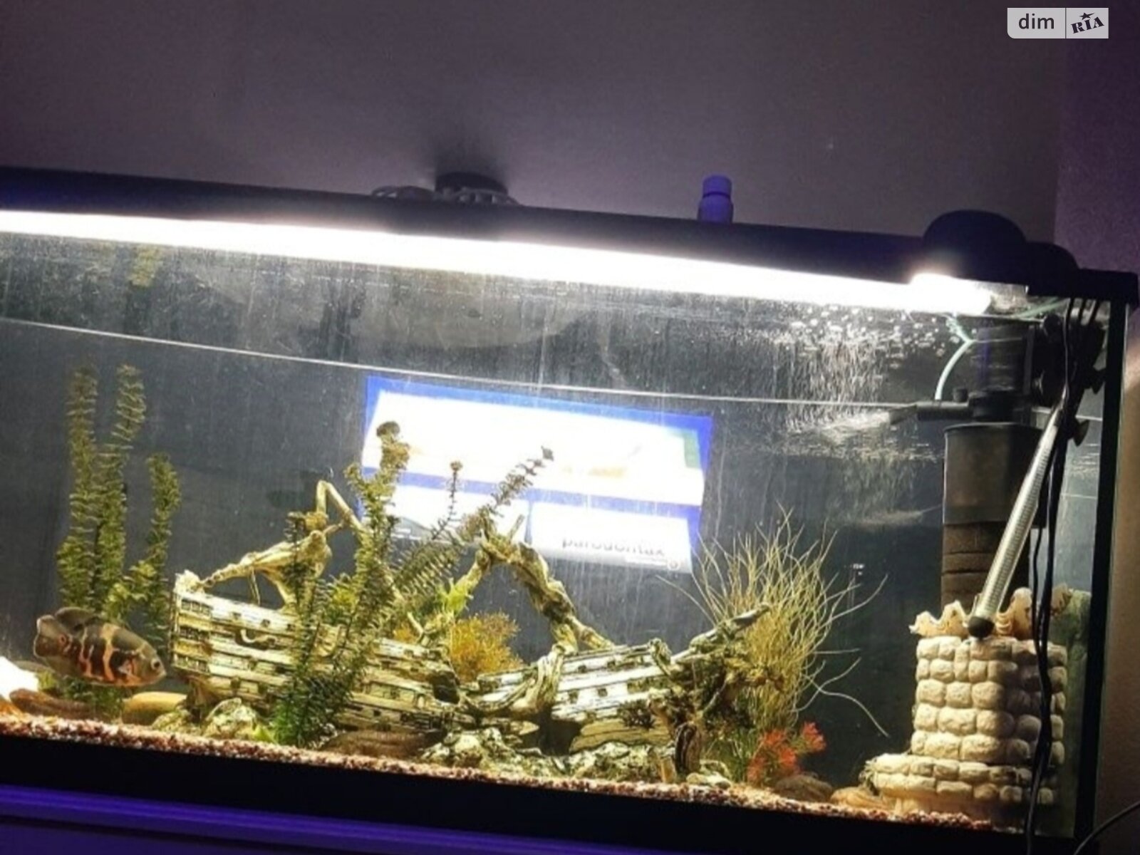 Продажа части дома в Житомире, улица Домбровского 42, район Богунский, 2 комнаты фото 1 Продажа части дома в Житомире, улица Домбровского 42, район Богунский, 2 комнаты фото 1