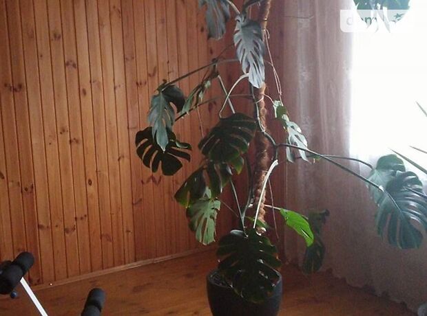 Продаж частини будинку в Києві, вулиця Хорольська 24, район Дніпровський, 8 кімнат фото 1 Продаж частини будинку в Києві, вулиця Хорольська 24, район Дніпровський, 8 кімнат фото 1