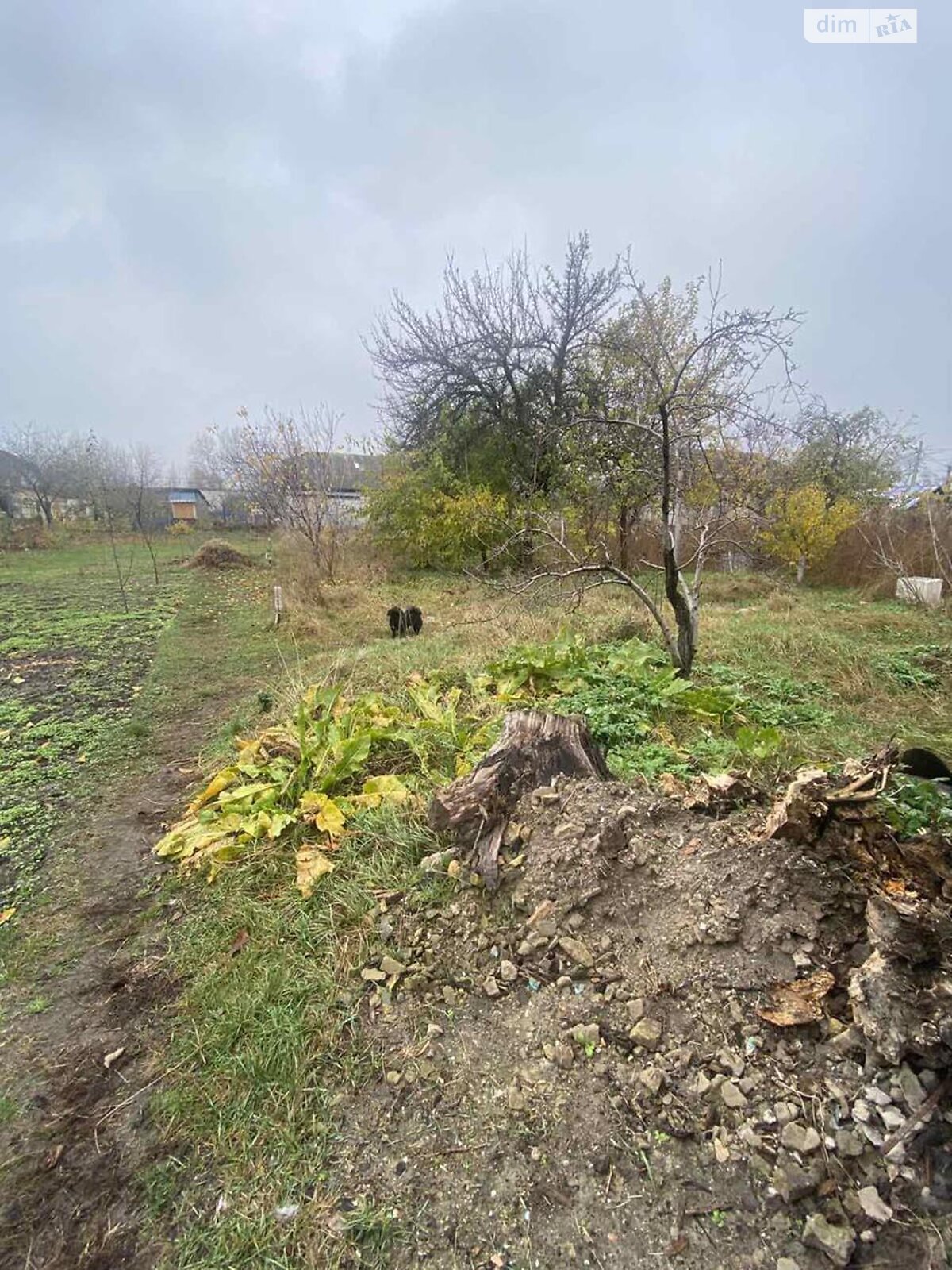 Продажа части дома в Киеве, улица Иоганна Вольфганга Гете (Карла Маркса) 47, район Село Троещина, 4 комнаты фото 1