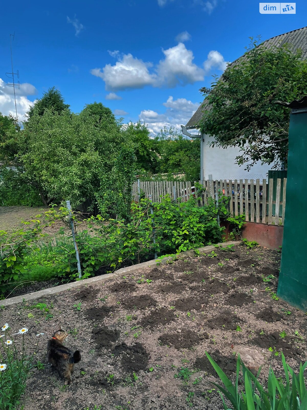 Продаж частини будинку в Корсуні-Шевченківському, вулиця Гагаріна 13, район Корсунь-Шевченківський, 3 кімнати фото 1 Продаж частини будинку в Корсуні-Шевченківському, вулиця Гагаріна 13, район Корсунь-Шевченківський, 3 кімнати фото 1