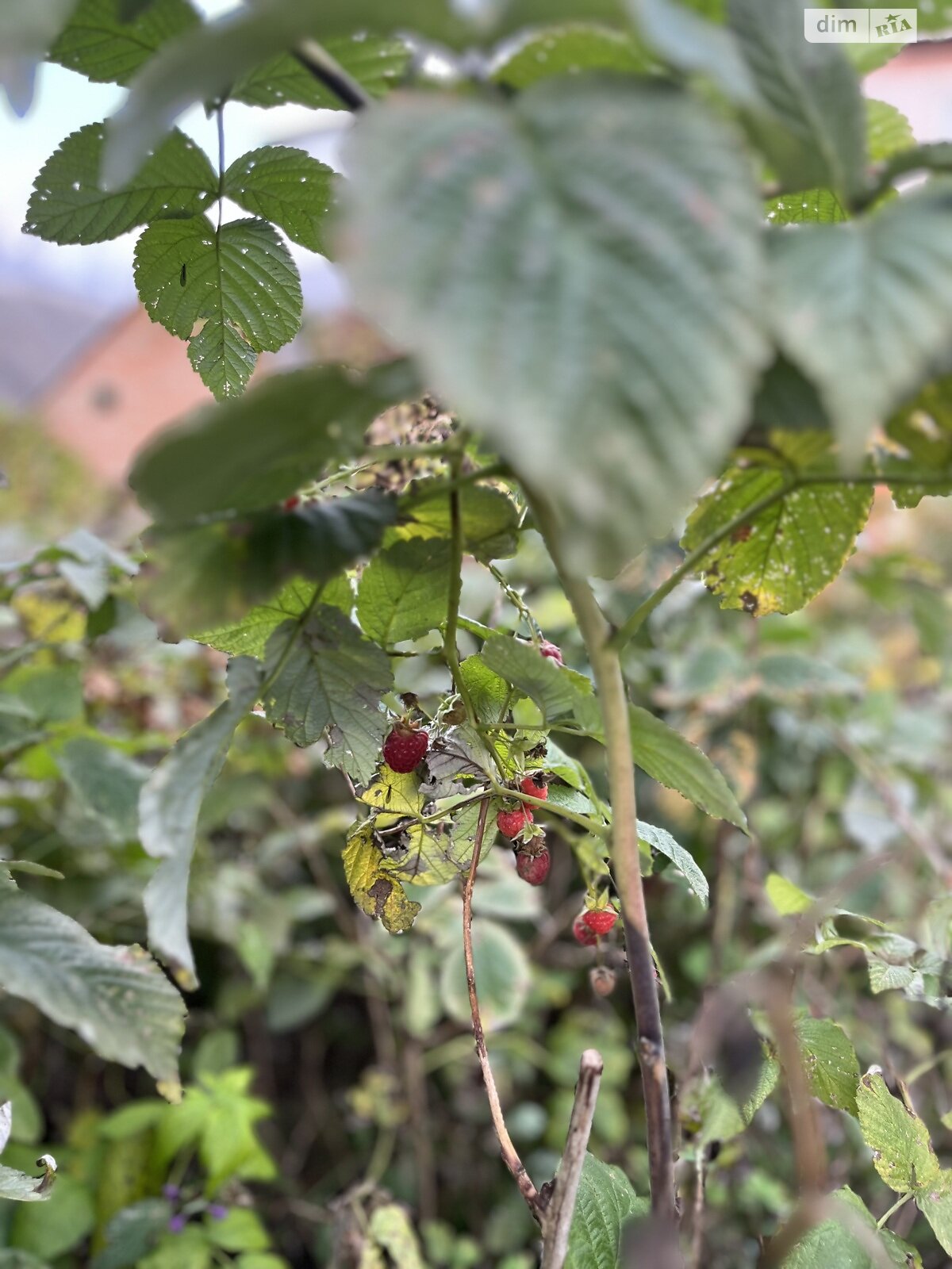 Продажа части дома в Литине, улица Винницкая (Дзержинского), район Литин, 4 комнаты фото 1 Продажа части дома в Литине, улица Винницкая (Дзержинского), район Литин, 4 комнаты фото 1