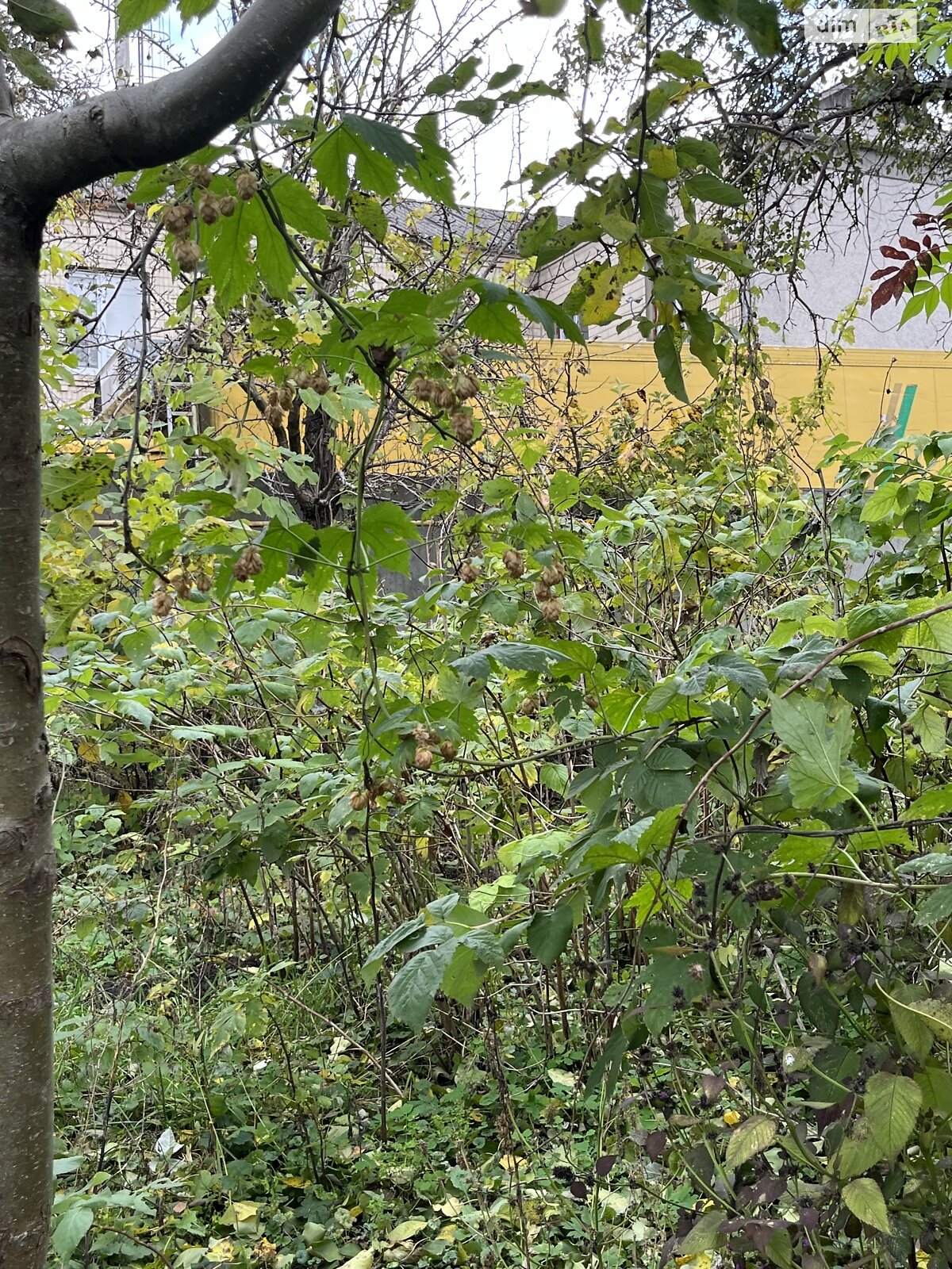 Продажа части дома в Литине, улица Винницкая (Дзержинского), район Литин, 4 комнаты фото 1 Продажа части дома в Литине, улица Винницкая (Дзержинского), район Литин, 4 комнаты фото 1