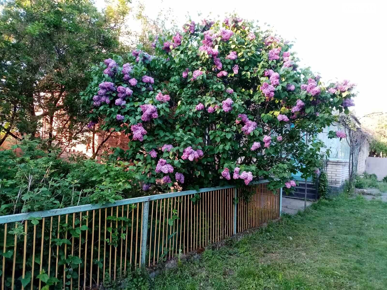 Продаж частини будинку в Лукашівці, вулиця Віктора Данилюка (Комарова) 4, 2 кімнати фото 1 Продаж частини будинку в Лукашівці, вулиця Віктора Данилюка (Комарова) 4, 2 кімнати фото 1