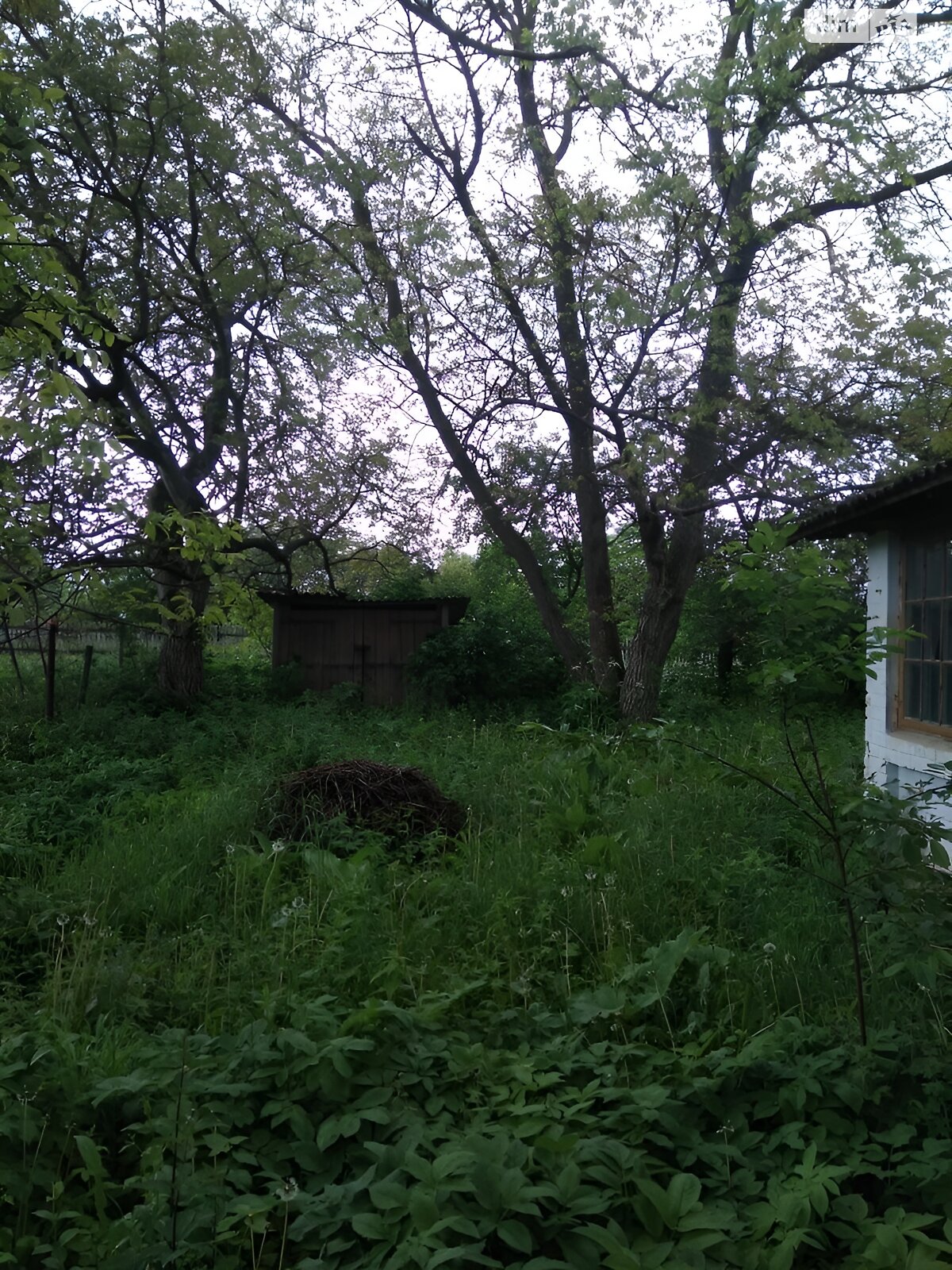 Продаж частини будинку в Луці-Барькій, Сонячна, 4 кімнати фото 1 Продаж частини будинку в Луці-Барькій, Сонячна, 4 кімнати фото 1