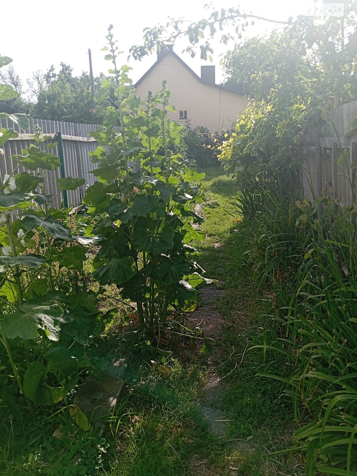 Продажа части дома в Луцке, улица Хотимский 35/1, район Кичкаревка, 3 комнаты фото 1 Продажа части дома в Луцке, улица Хотимский 35/1, район Кичкаревка, 3 комнаты фото 1